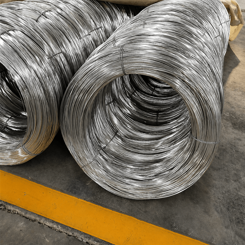 Galvanized Steel Wire (3)