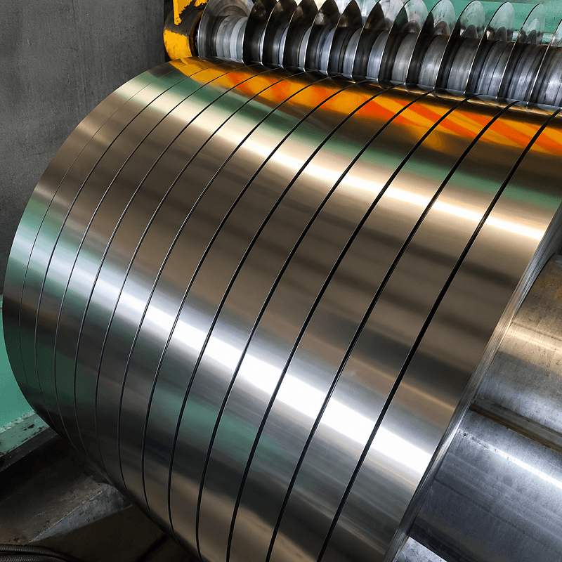 Stainless Steel Strip (10)
