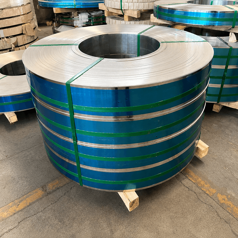 Stainless Steel Strip (8)